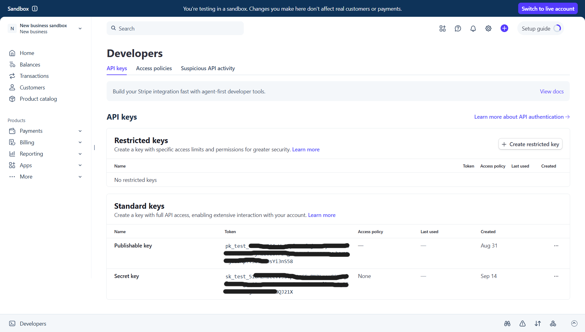 Stripe API Key Setup