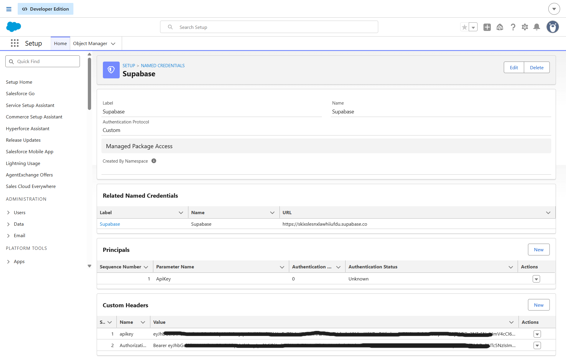 Supabase External Credential Setup
